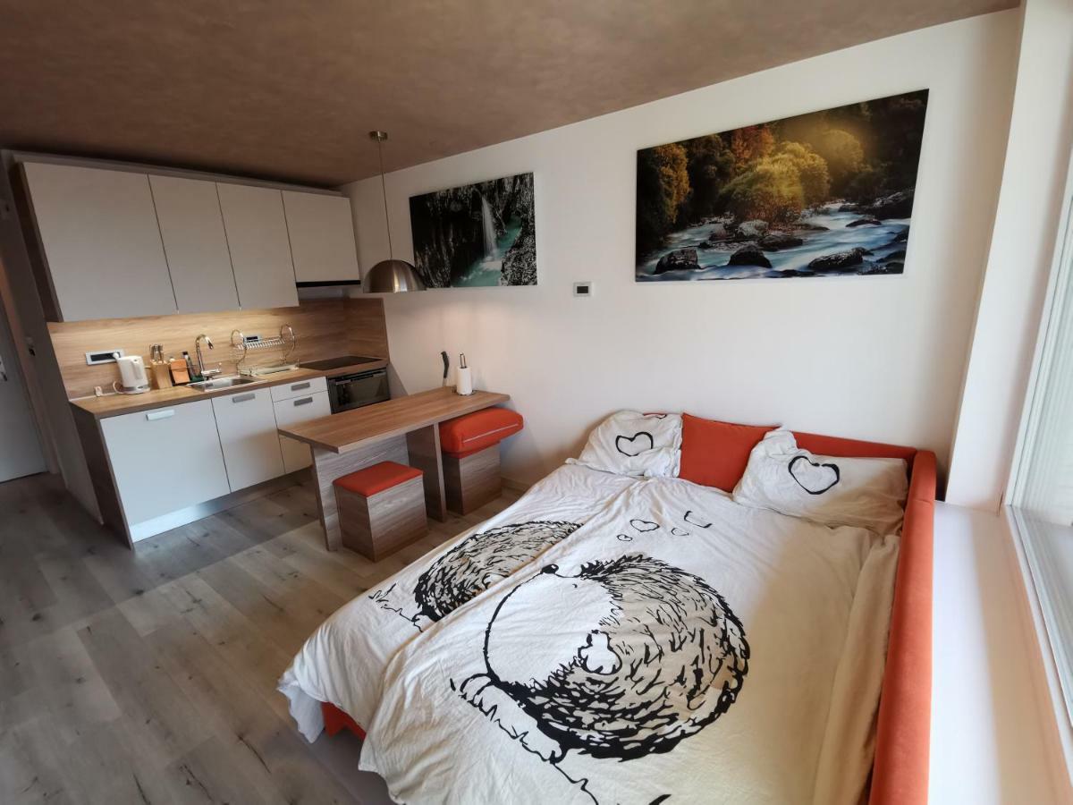 Studio Apartment Jez Бовец Екстер'єр фото